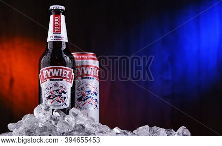 Bottle And Can Of Zywiec Beer
