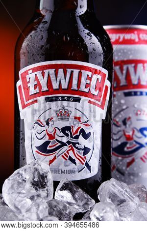 Bottle And Can Of Zywiec Beer
