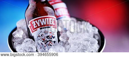 Bottle And Can Of Zywiec Beer In Bucket With Crushed Ice