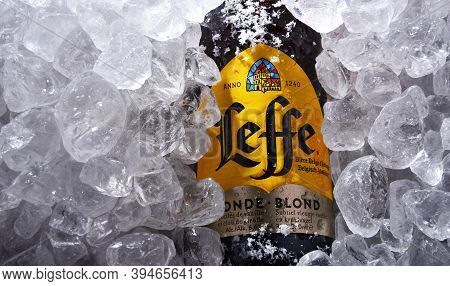 Bottle Of Leffe Beer In Crushed Ice