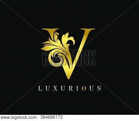 Golden V Luxury Logo Vector & Photo (Free Trial) | Bigstock