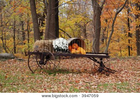 Automne à New York