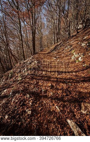 Trekking Footpath In Autumn With Beech Trees And Dry Leaves In Italian Alps, Mountain Of Corno D'aqu