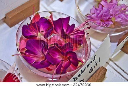Party Girl Fuschia Flower