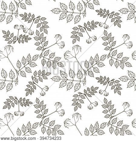 Rose Branch Leaves Fruits Monochrome Seamless Pattern Art Design Element Ink Hand Drawn Stock Vector