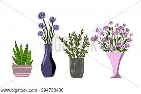 Indoor Garden Plants And Fresh Flowers Isolated On White Background. House Growing Potted Houseplant