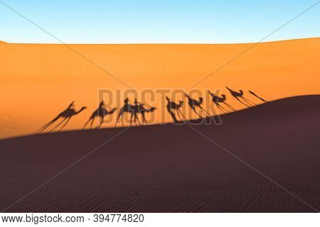 Daytime Wide Angle Shoot Of Camel Caravan Silhouettes In Desert Dunes Of Erg Chigaga, At Sahara. Mor