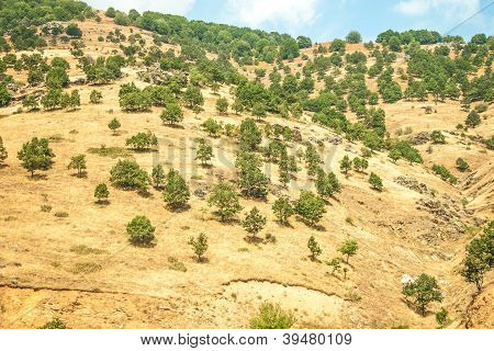 Mountain view - Parque Nacional Olympus