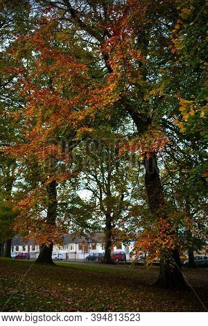 Dundalk, Ireland: November 11 2020: Ice House Hill Park Dundalk