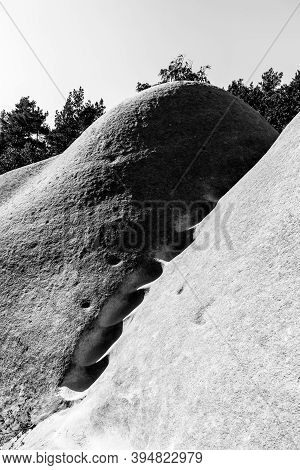 Close-up Of Elephant Sandstone Rocks, Sloni Kameny, Near Jitrava In Lusatian Mountains, Czech Republ