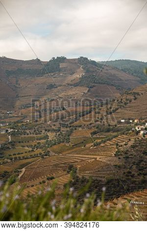 Top View Of River, The Hills With The 
