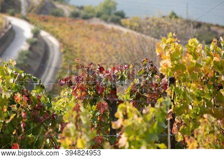 Top View Of River, The Hills With The 