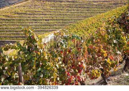 Top View Of River, The Hills With The 