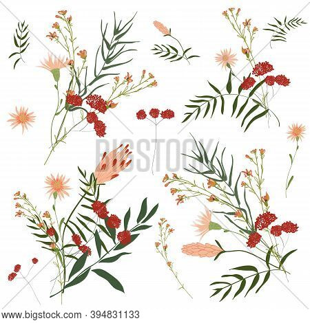 Hand Drawn Flower Collection. Various Flowers From Fields And Meadows In Bouquets. Big Botanical Set