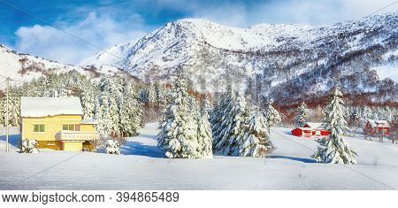 Gorgeous Winter Scenery With Traditional Norwegian Wooden Houses And Pine Trees Near Valberg Village