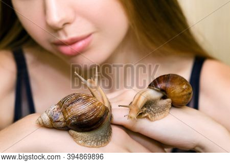 A Young Woman With A Beautiful And Clean Face Is Holding Large Achatina Snails. The Concept Of Using