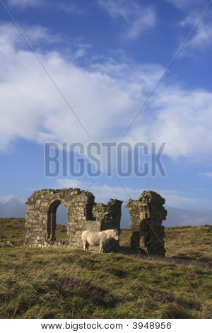 บนเกาะ Llanddwyn