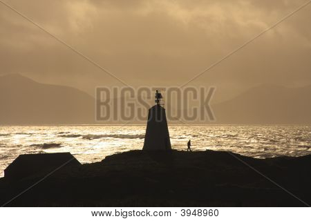 บนเกาะ Llanddwyn