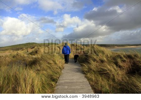 บนเกาะ Llanddwyn