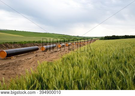 Construction Works For Gas-transmission Pipeline In Fertile Lands