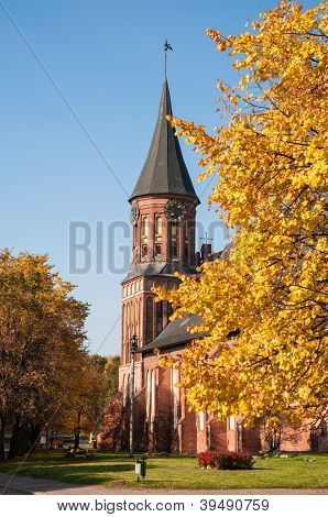 Kant der Kathedrale im Herbst. Kaliningrad, Russland