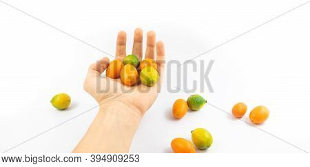 Small Citrus Limequat And Kumquat In Hand On White Isolated Background