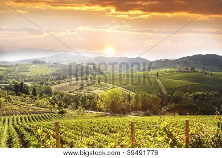 Chianti vineyard landscape in Tuscany, Italy