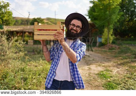 Happy Farmer Holding Harvested Eco Tomatoes Walking With A Full Crate On Hist Shoulder