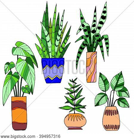 Vector Stock Illustration, Set Of Flowerpots In Bright Colors, Isolate On A White Background, Book O