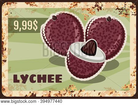 Lychee Rusty Metal Plate, Vector Vintage Rust Tin Sign With Ripe Exotic Fruit Whole And Half. Fresh 