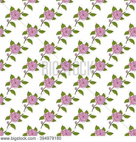 Seamless Pattern With Japanese Camellia Ornamental Plant. Hand Drawn Botanical Vector Illustration