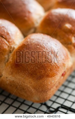 Panini di raffreddamento