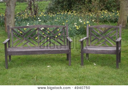 Garden Benches. Daffodils