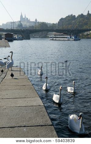 Prague - Vltava River