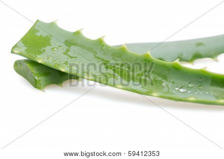 Green aloe