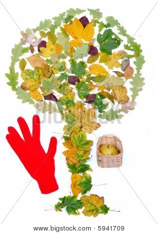 Hojas en forma de árbol aislado y rojo guante