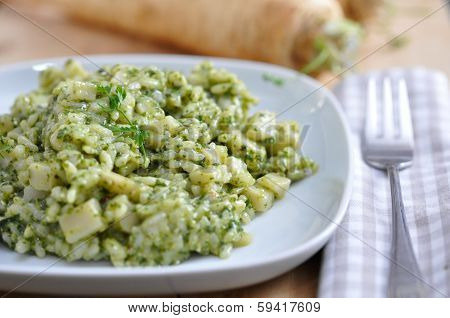 risotto with spinach on a plate