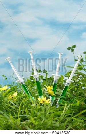 Four syringes in grass as a symbol for genetically modified dna and biotechnology