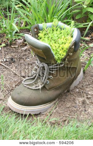 Ogród Boot