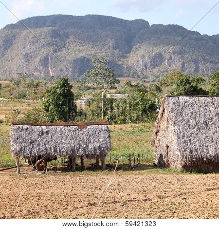 Cuba - Vinales