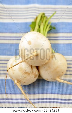 White radish
