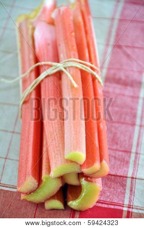 Fresh rhubarb