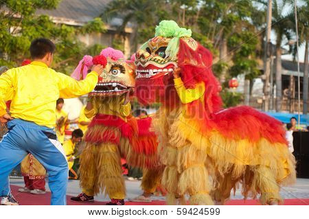 Lion Dancing In Chinese New Year.