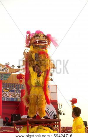 Lion Dancing In Chinese New Year.