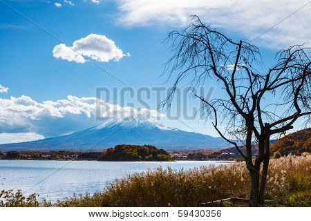 Mt Fuji view from the lake 
