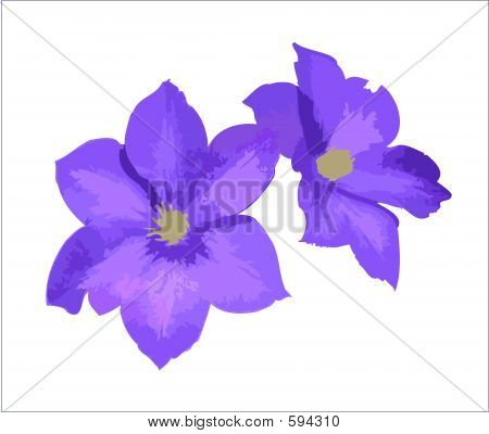 ดอกไม้สีม่วง
