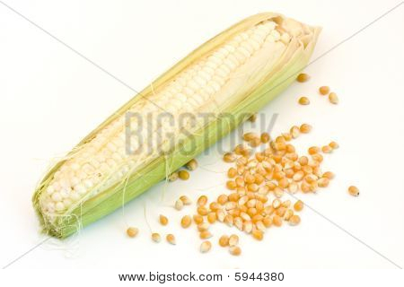 Corn Cob With Seeds