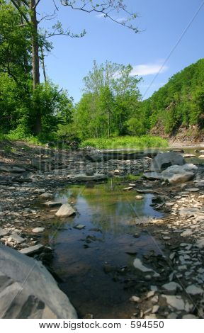 Creekbed