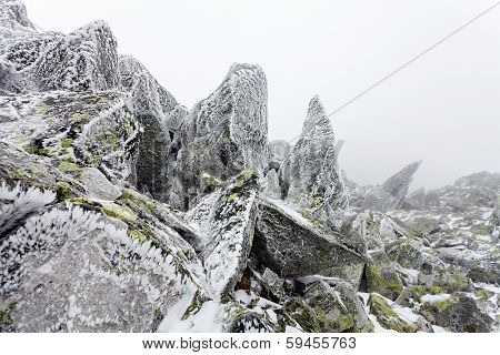 The Snowstorm Is Coming