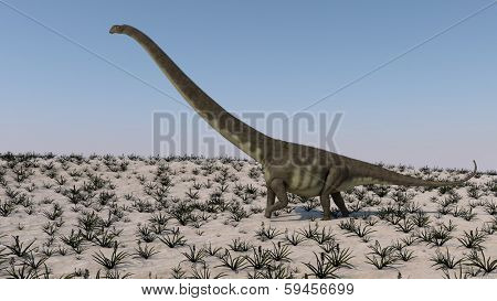 walking mamenchisaurus